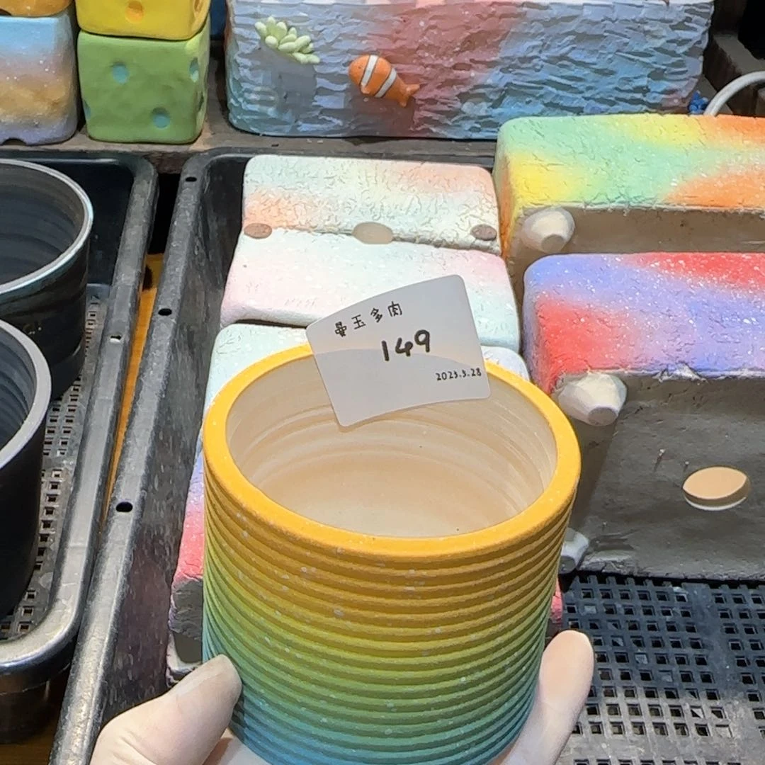 小****九多肉多肉多肉5.28-149