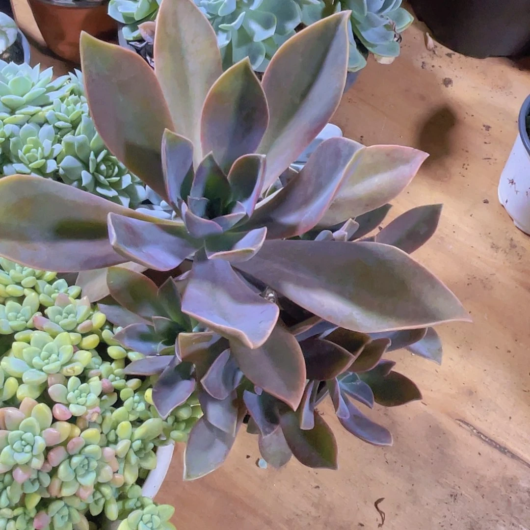 大***姐000000000000000235