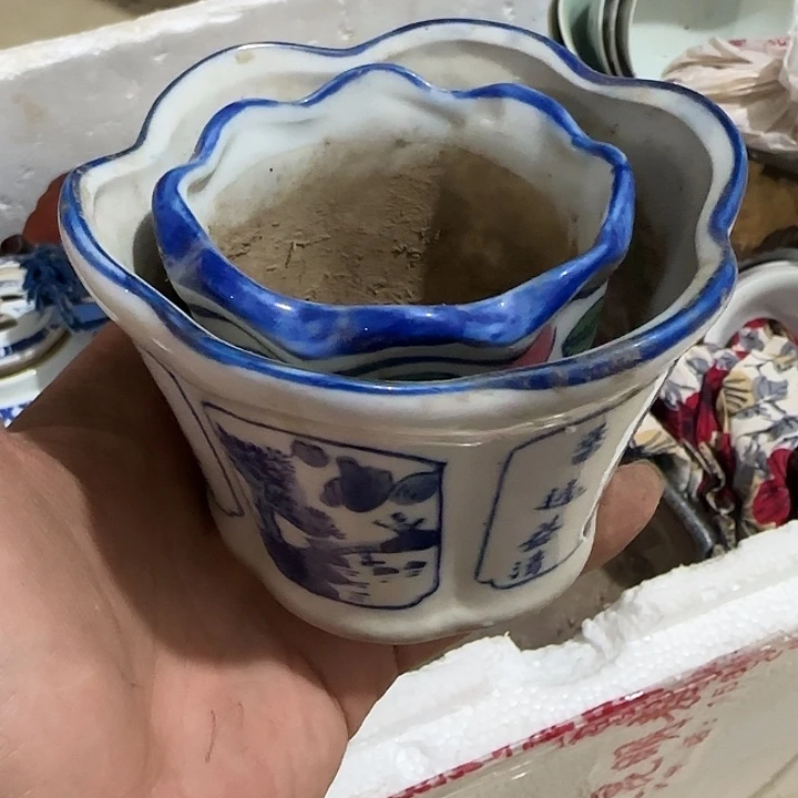 水***月扇子发一哥哥哥哥哥哥哈哈哈哈哈