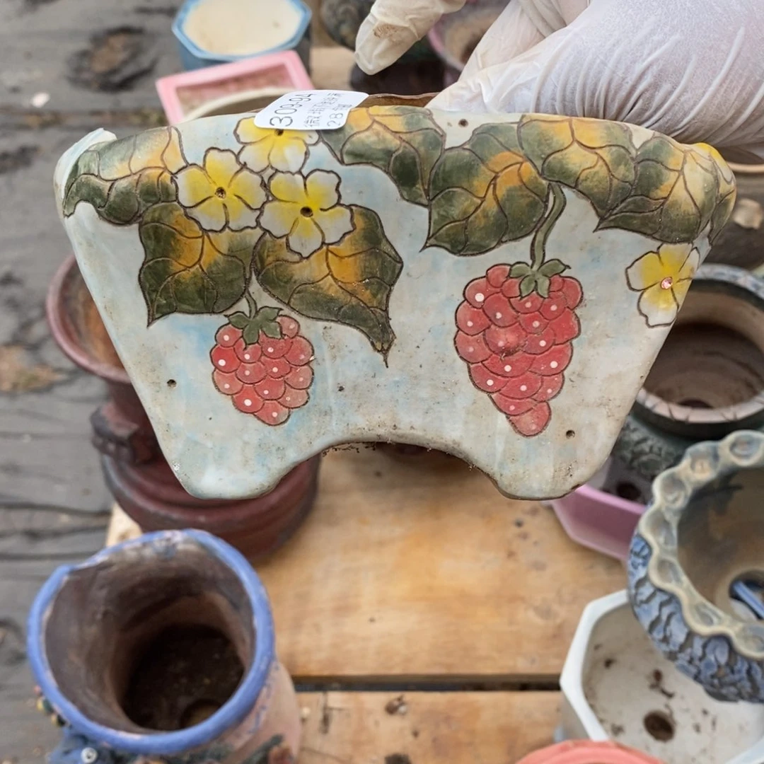 红陶陈****t94号多肉盆一个呀