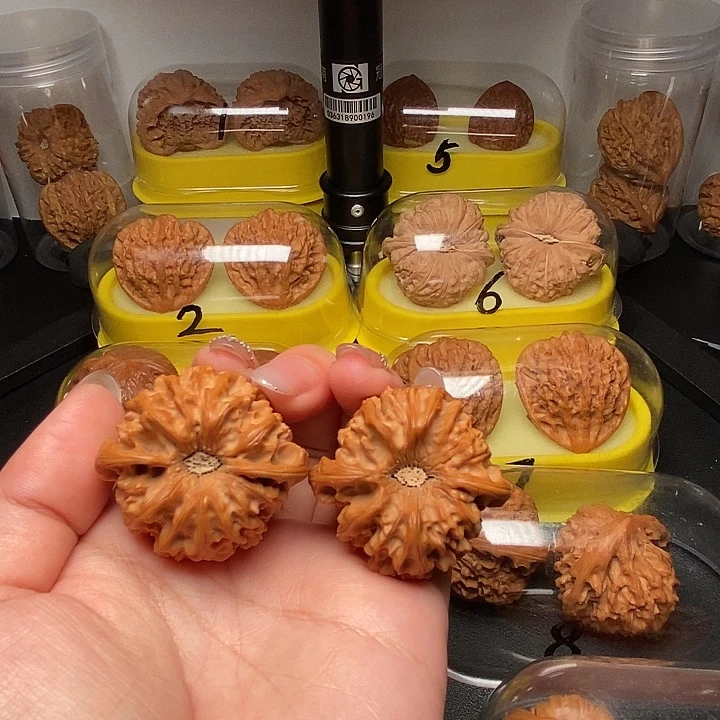 42陨石坑三角龙门涧