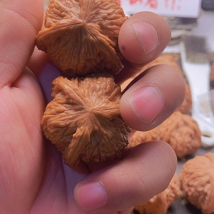 乐*熊血麒麟42三棱有修