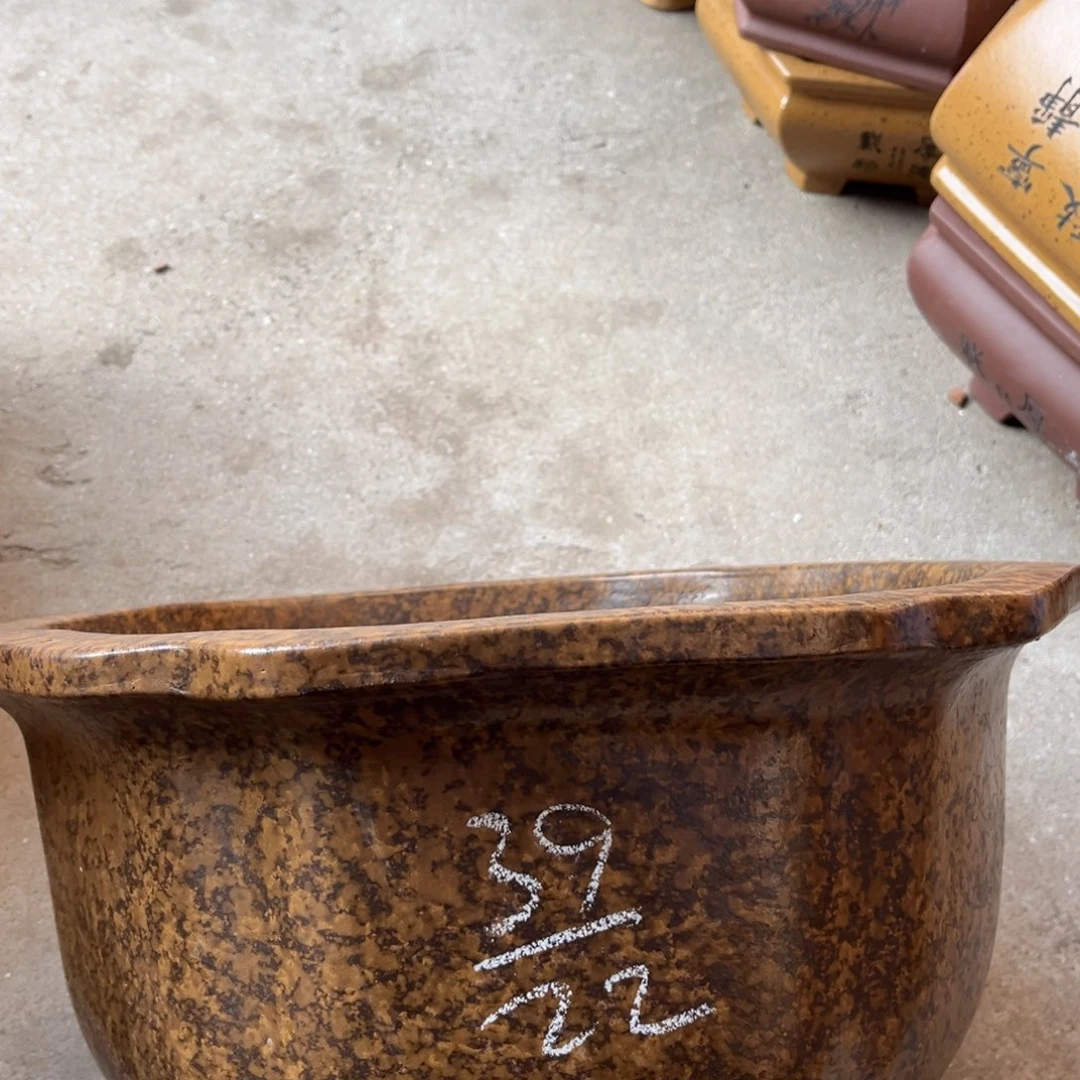 花盆紫砂盆景艺术