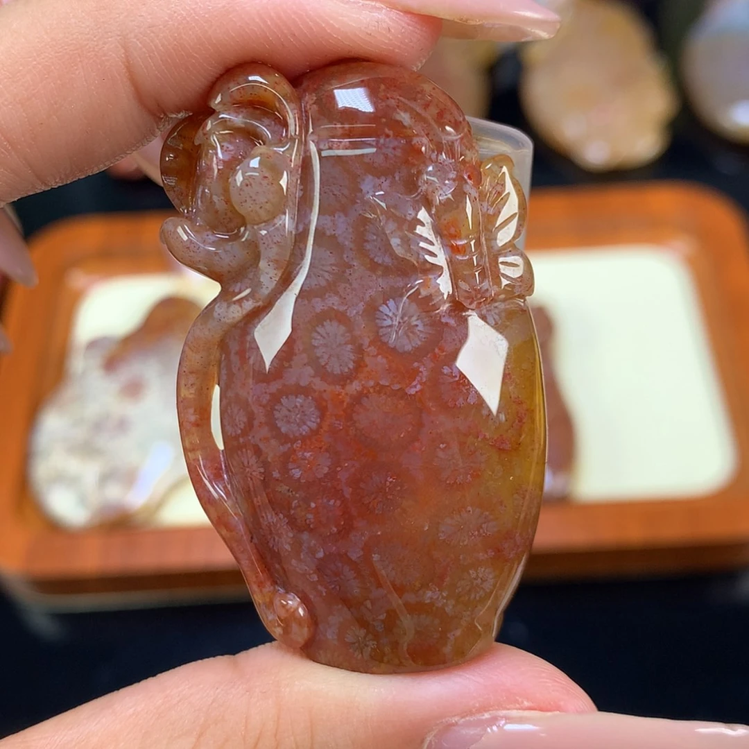 【闪购商品】颈饰未镶嵌硅化珊瑚（珊瑚玉）15号