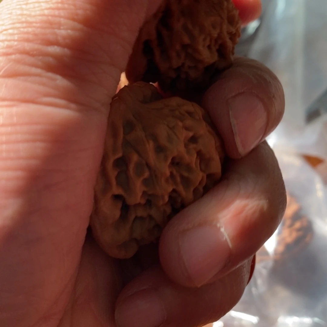秦岭南侧和东北北部分别