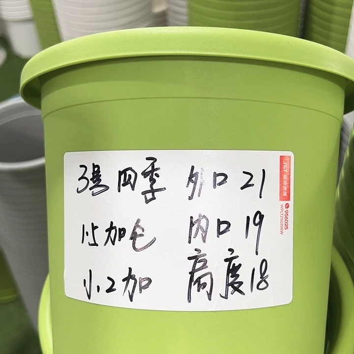 特价3号四季口21高18白色无托10个