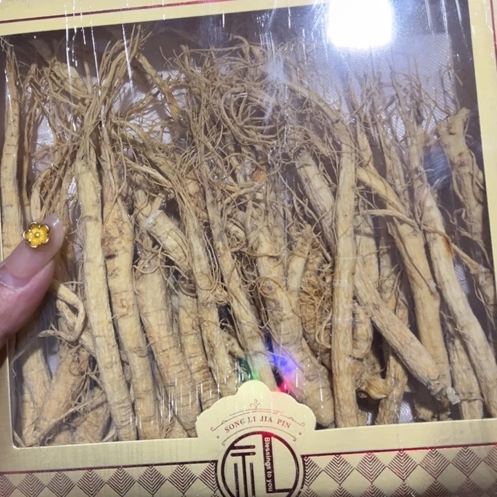 绿泥——————————————————————