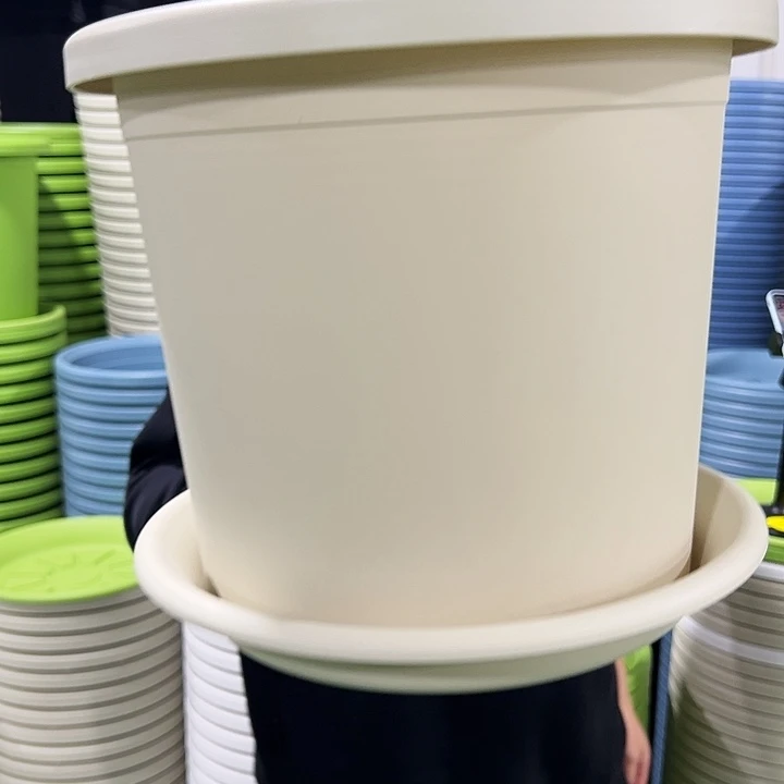 特价6号四季口32高27米色带托5个