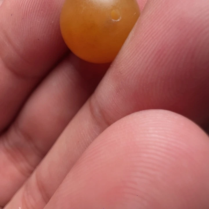 华***年田黄石66666666666666