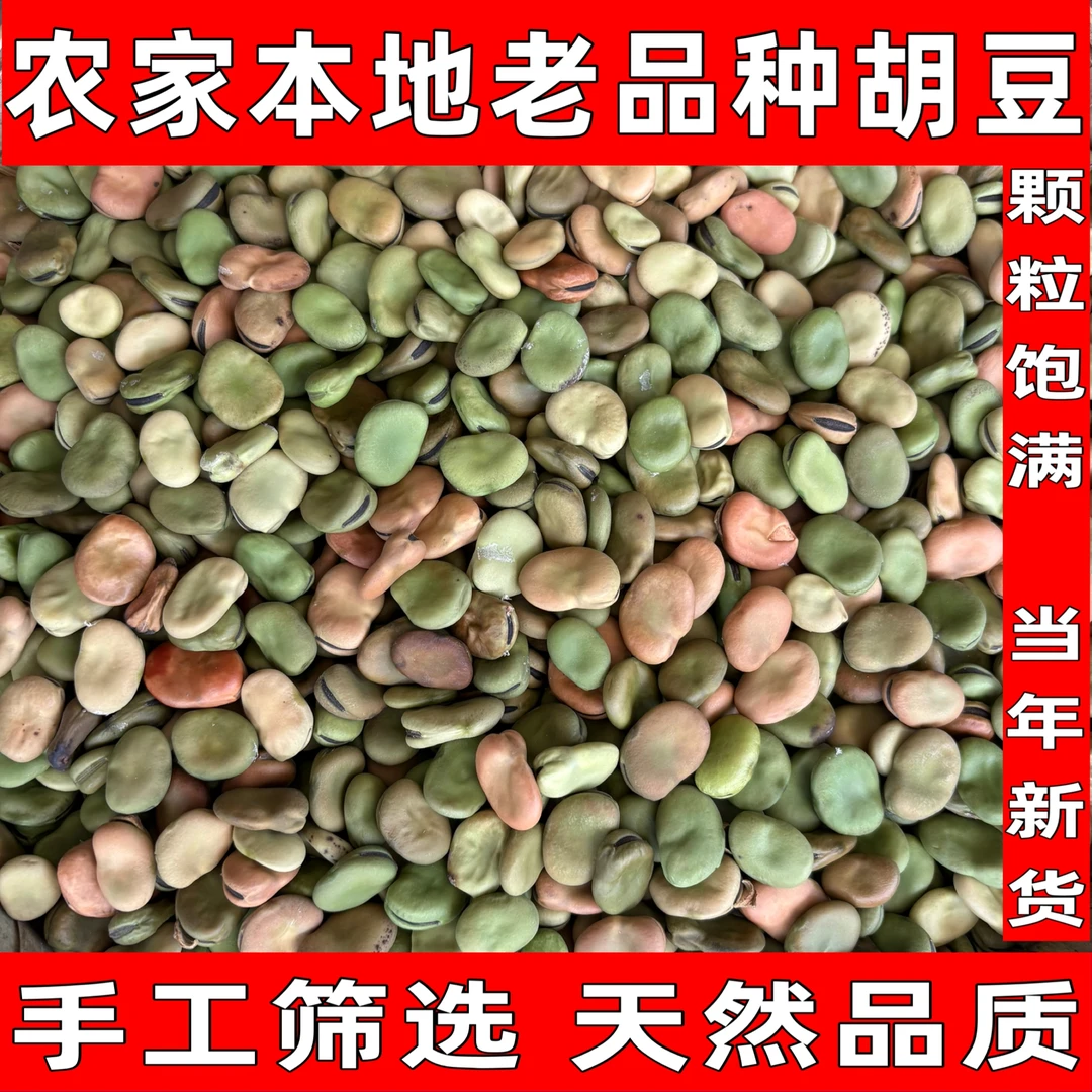 【乡村振兴】重庆垫江曹回农家自种老品种干胡豆干蚕豆炸来吃豆瓣酱
