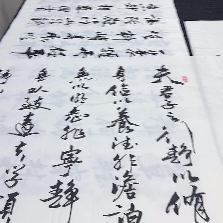 书法老师精品行书