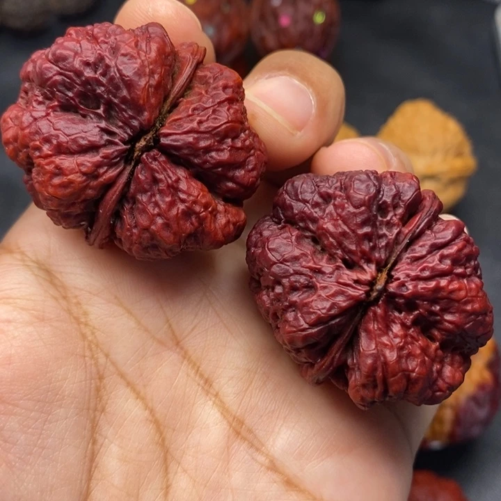 文玩核桃把件40尺蝴蝶蟾