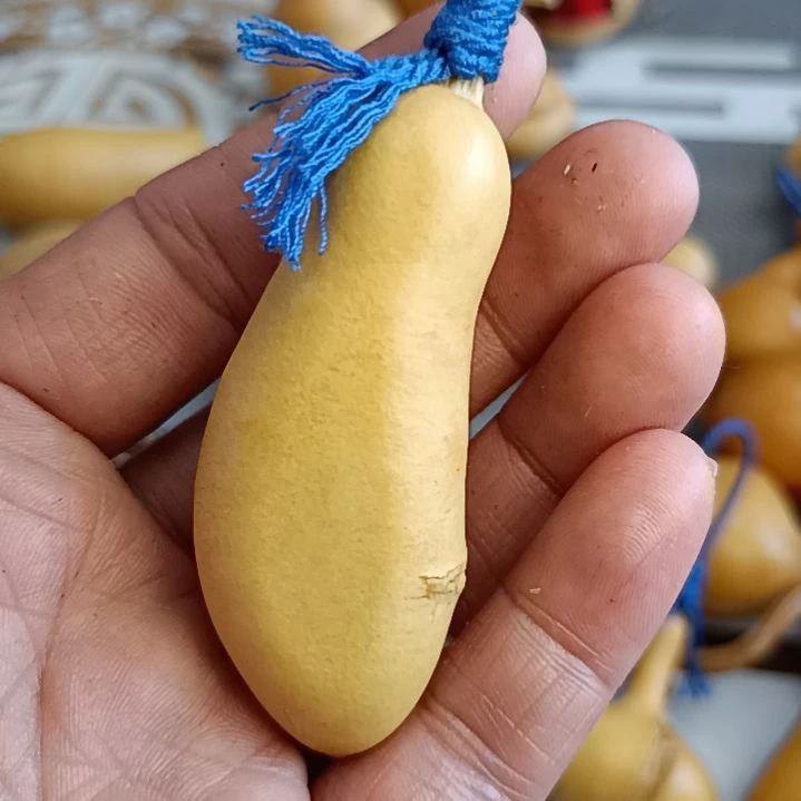 ?*澈葫芦葫芦葫芦葫芦葫芦