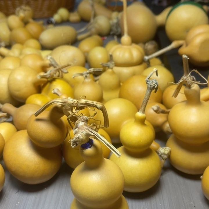 强***大健健康康快快乐乐