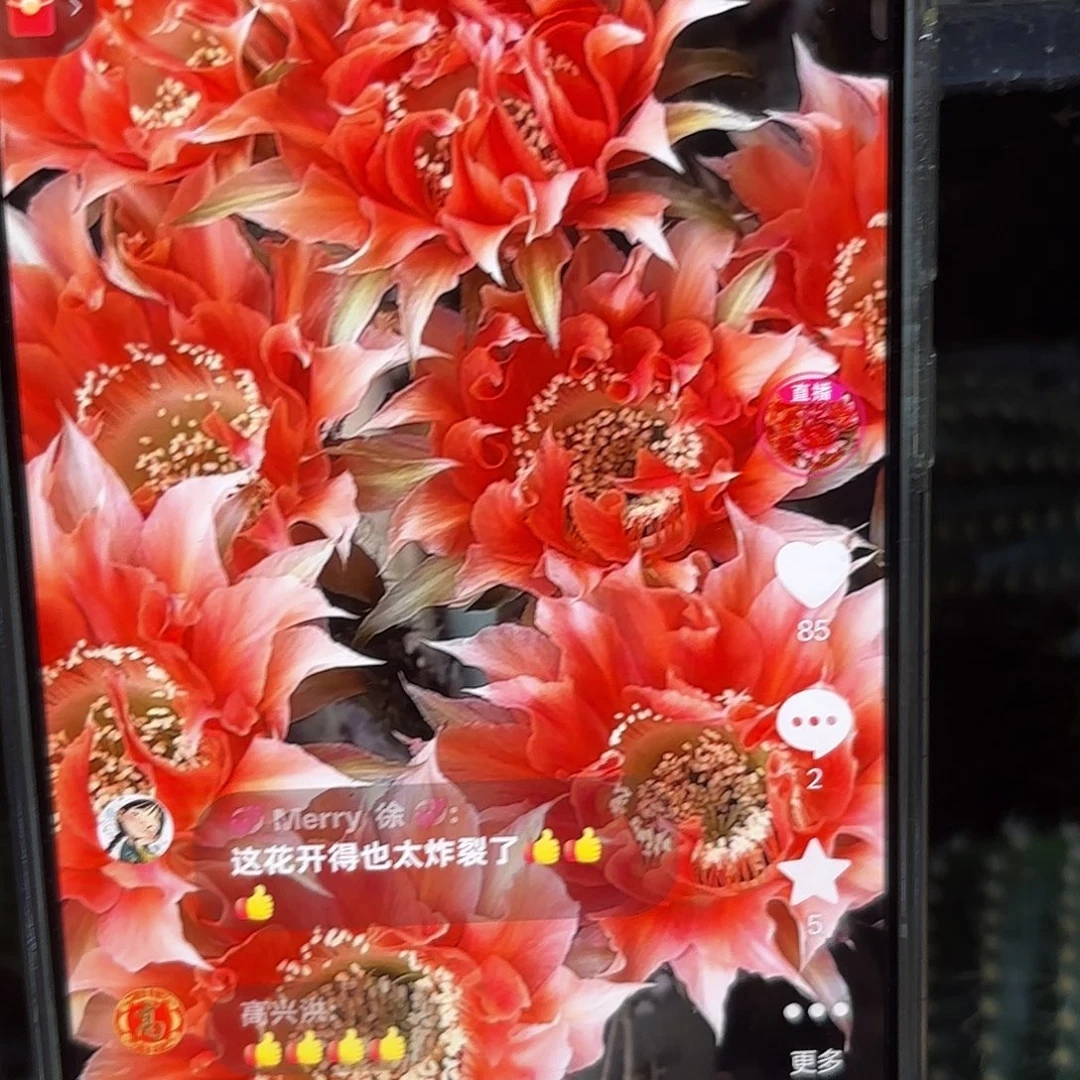 A119彩公分20包邮14
