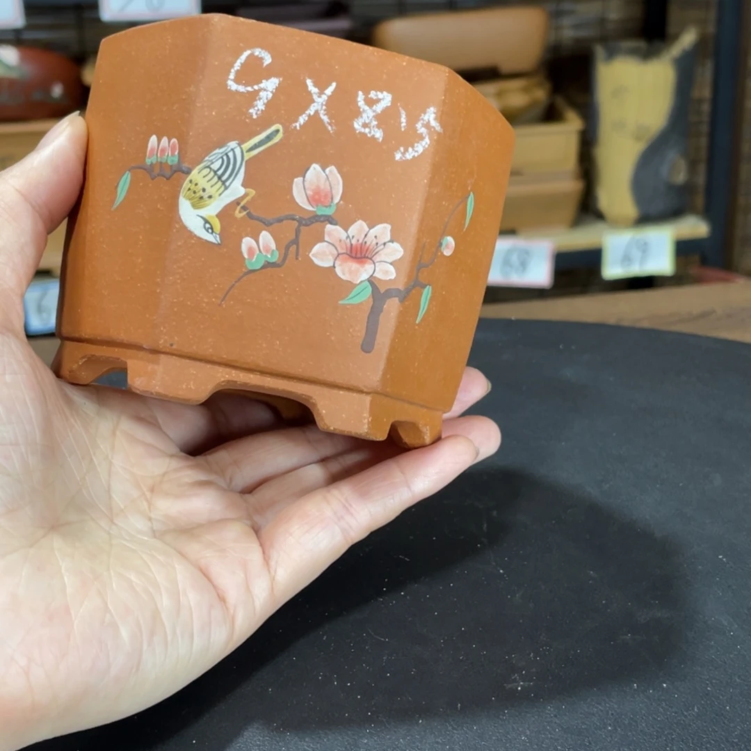 花盆紫砂我不敢给