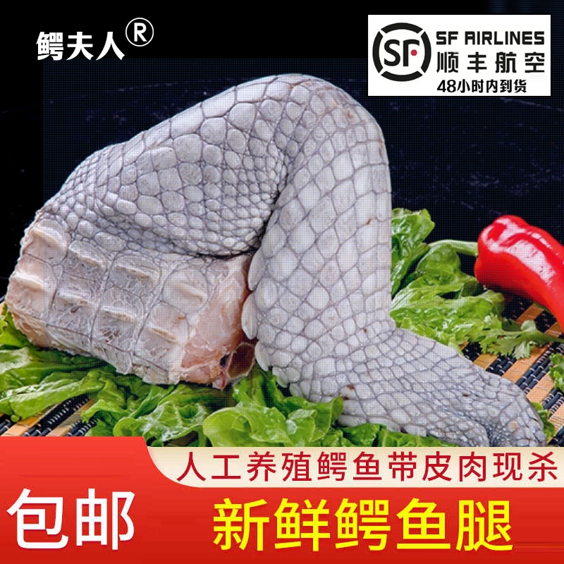 新鲜鳄鱼腿带皮肉鳄鱼人工养殖鳄鱼新鲜肉类食用鳄鱼顺丰包邮