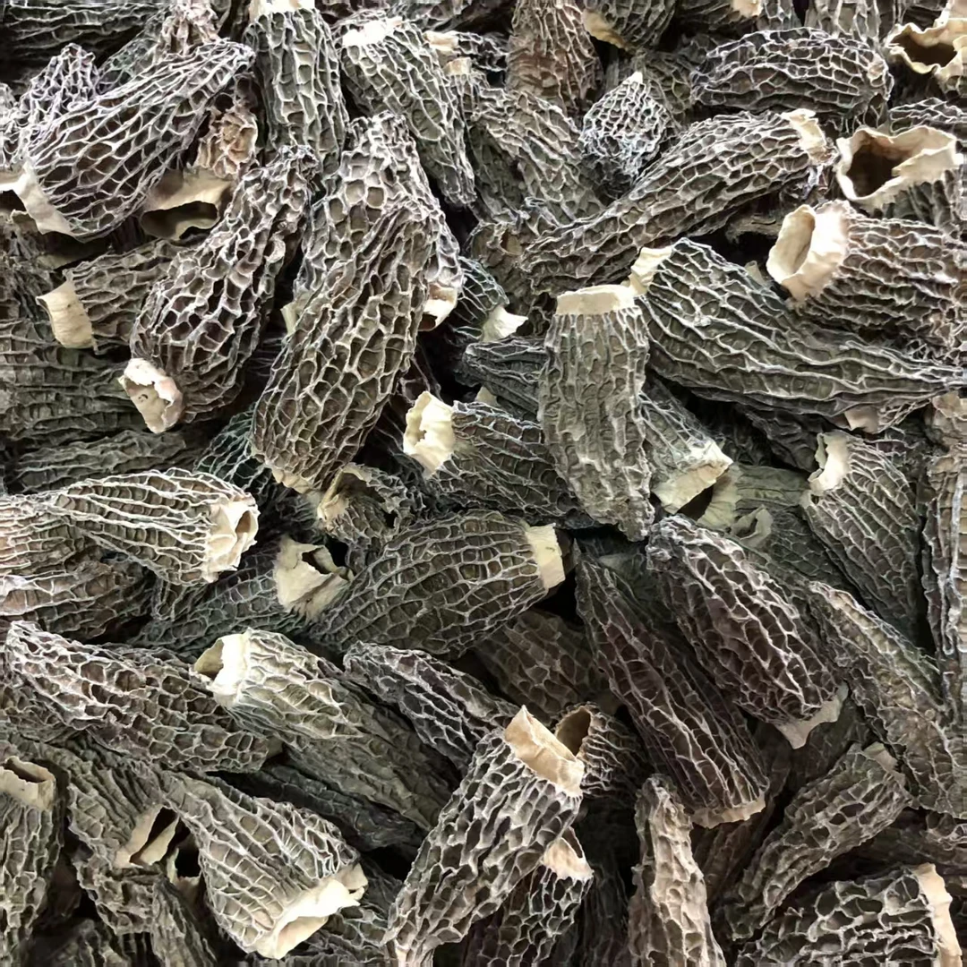 优质高货羊肚菌250g