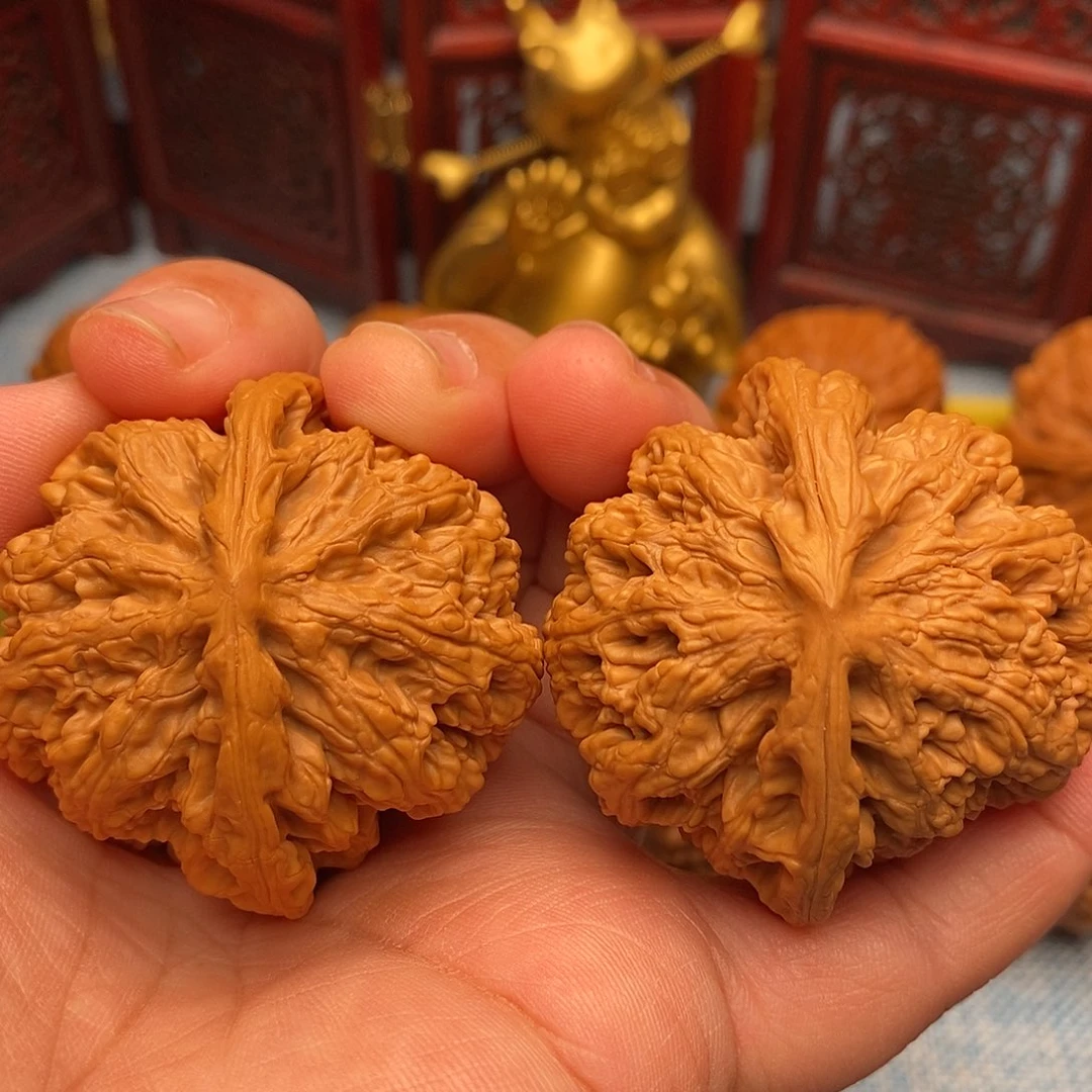 把件文玩核桃45.5精品毕业粗筋