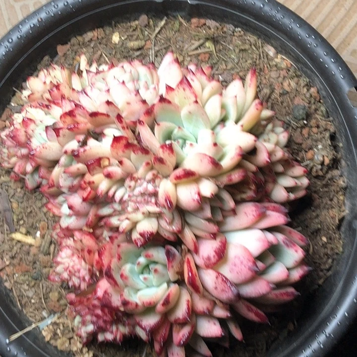 ?****?39///////////////