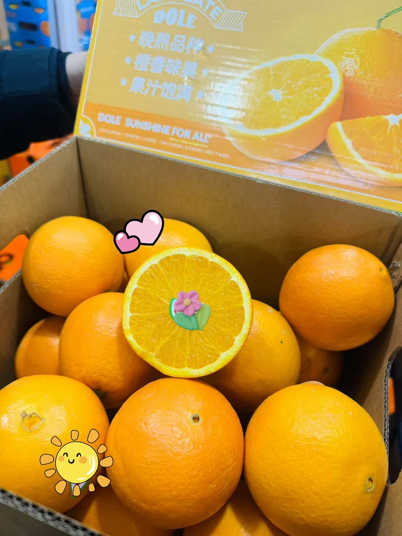 都楽伦晚橙子8斤
