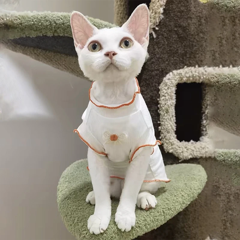 宠物衣服夏季超薄款蛋卷冰丝背心德文无毛猫斯芬克斯清凉猫猫衣服