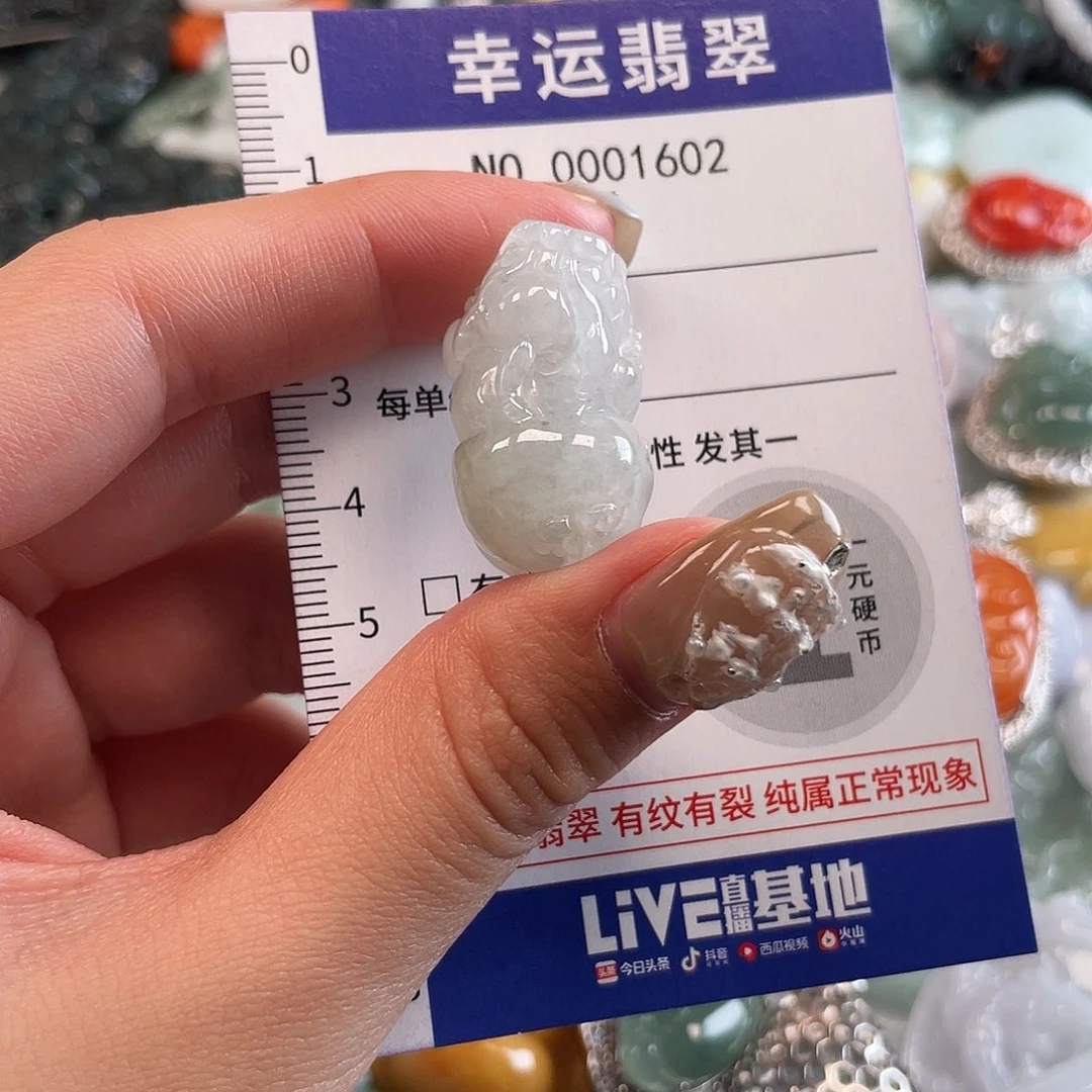翡翠未镶嵌颈饰1602