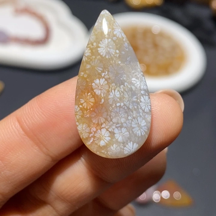 【闪购商品】未镶嵌珊瑚玉硅化玉