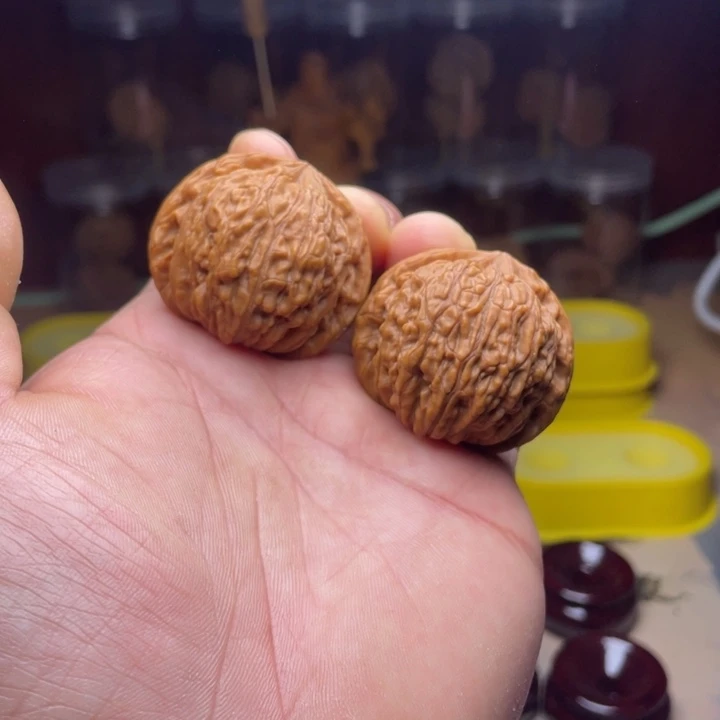 吊坠文玩核桃41全品蛟龙（高端头货）