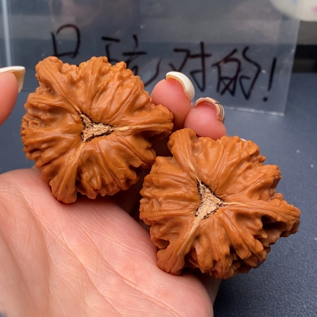 给***州把件文玩核桃白狮子