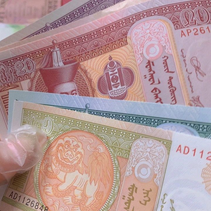 纸币全新纸币蒙古5张