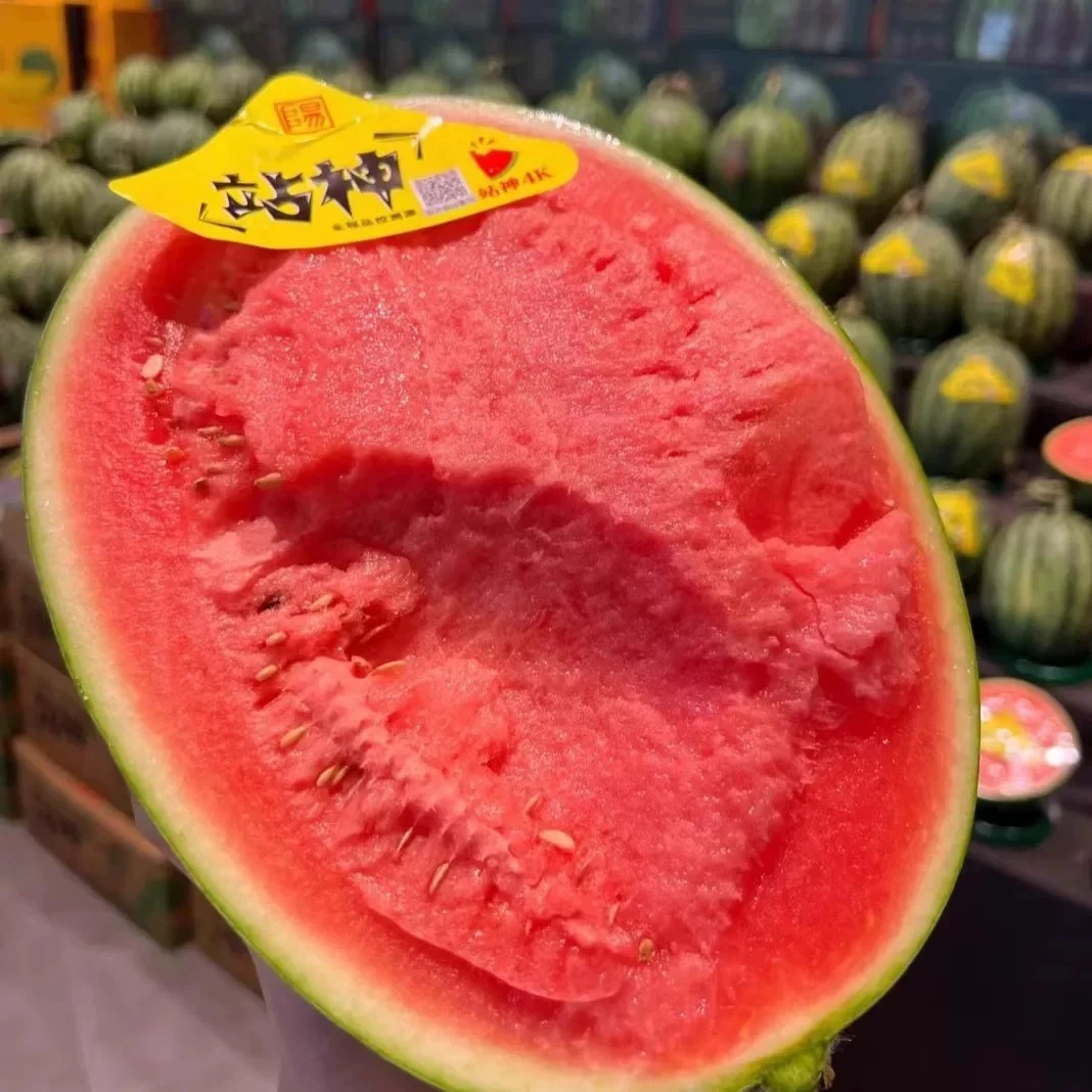 甘美4K沙甜爽口不一样的口感西瓜爆甜一个约(5.5斤至6斤±0.5斤)皮薄肉脆鲜甜多汁 西瓜同城配甘肃省