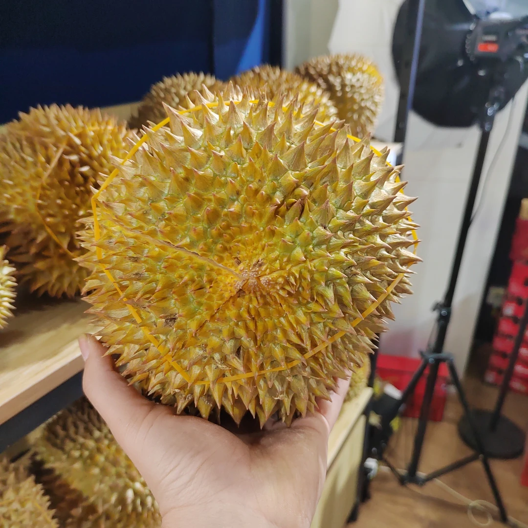 新鲜空运泰国金枕榴莲，3-6斤左右，核小肉多，一果一重金枕泰国