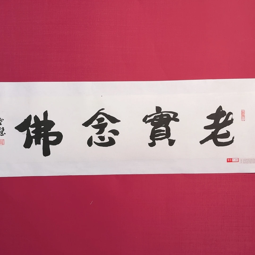 国画T235 子初书画墨宝