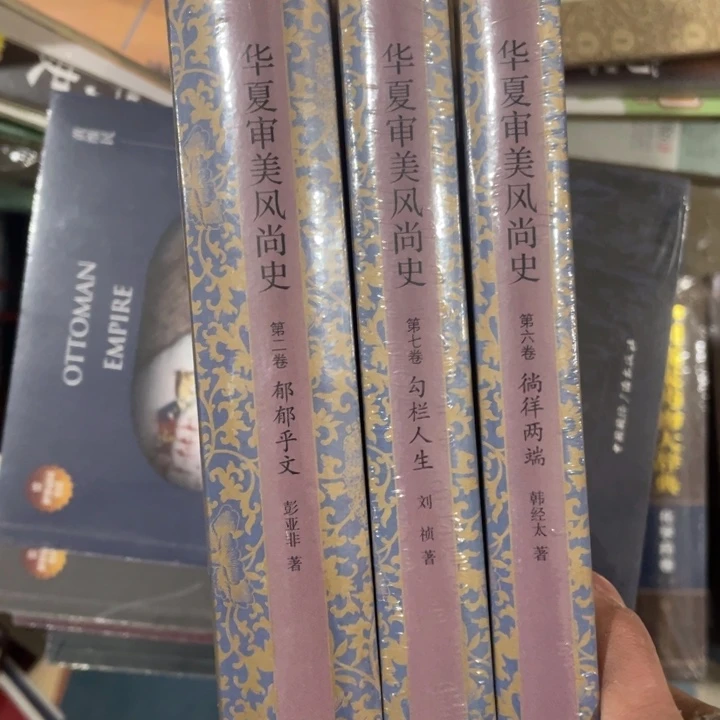 华夏审美风尚史三册合售