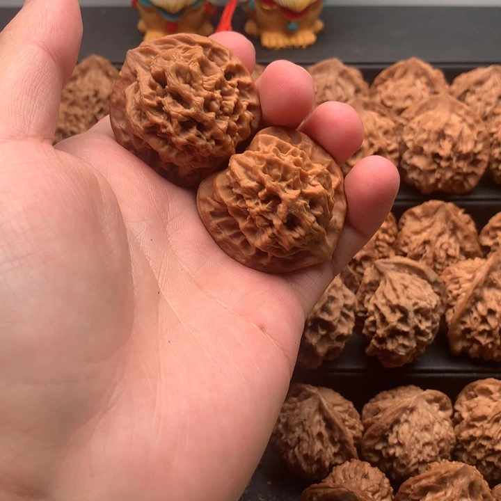 其他核桃昕**念秦岭官帽