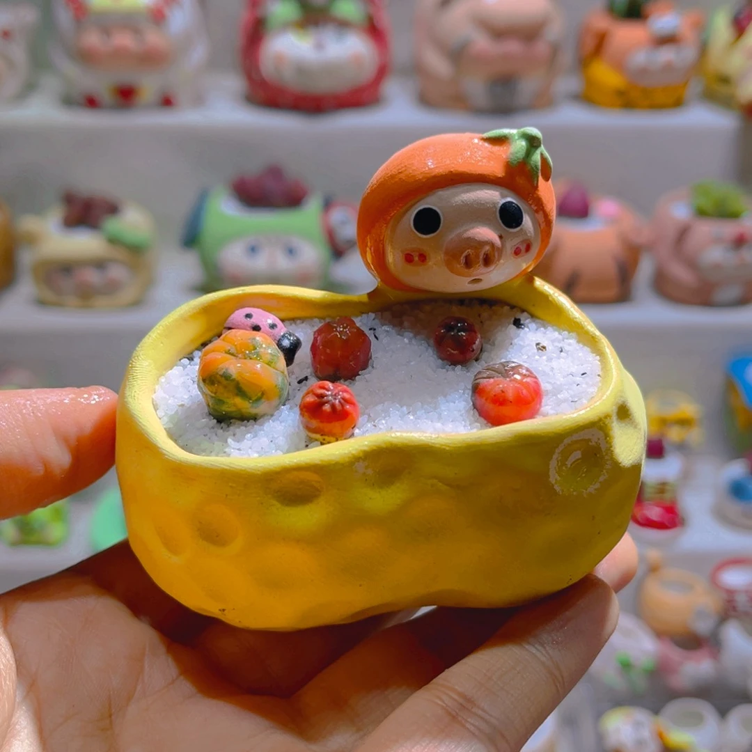 006高端多肉带盆土一套98