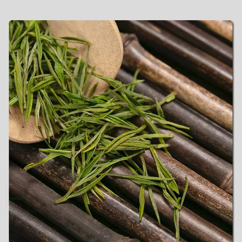 2025年新茶正宗安吉口粮白茶