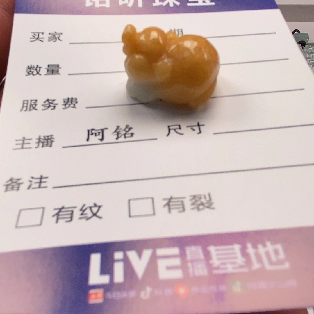 翡翠未镶嵌颈饰          6