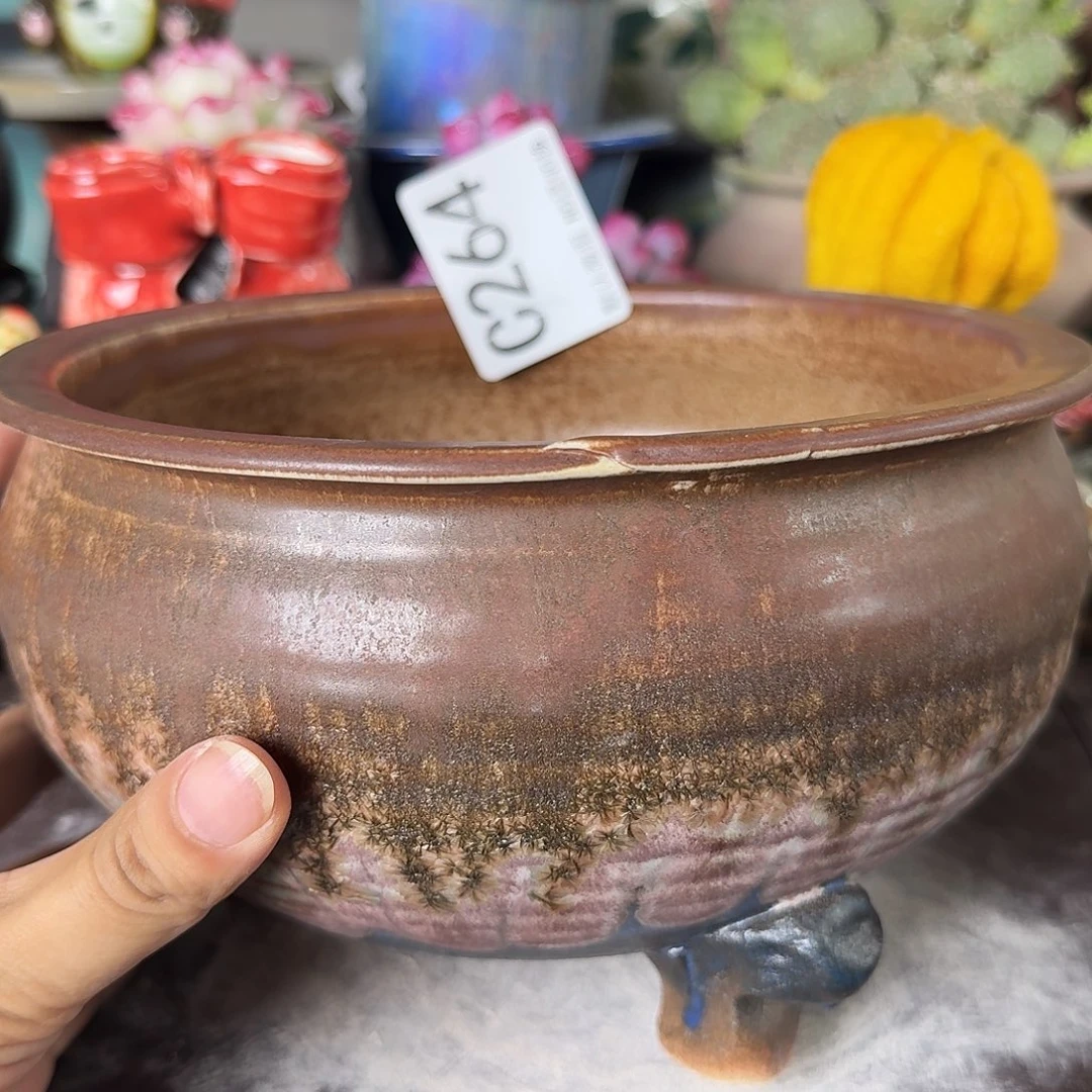 海***参重庆小燕子欢迎大家364