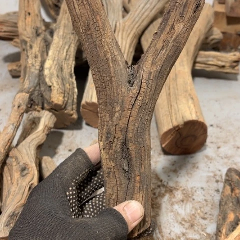 大果紫檀（缅甸花梨）真*