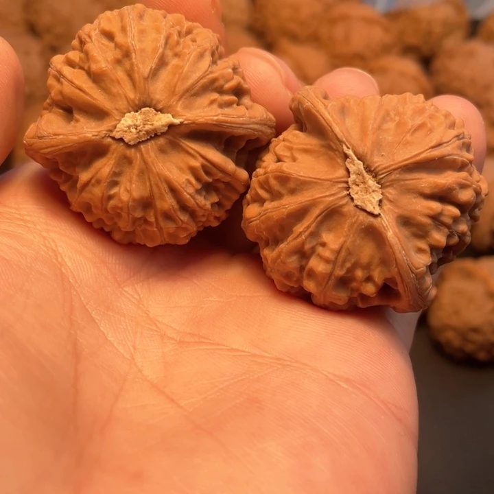 核桃41尺寸大宫灯