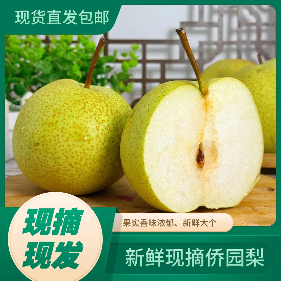【礼盒装】正宗云南砚山侨园梨现摘现发脆甜爆汁无渣健康美味营养