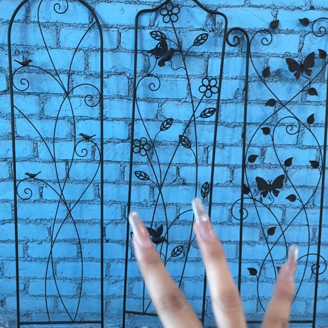 孤品给力炸炸炸炸炸炸