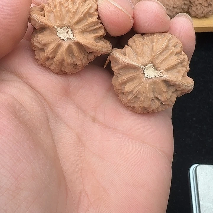 M***頭吊坠桃核精对宫灯，39全品