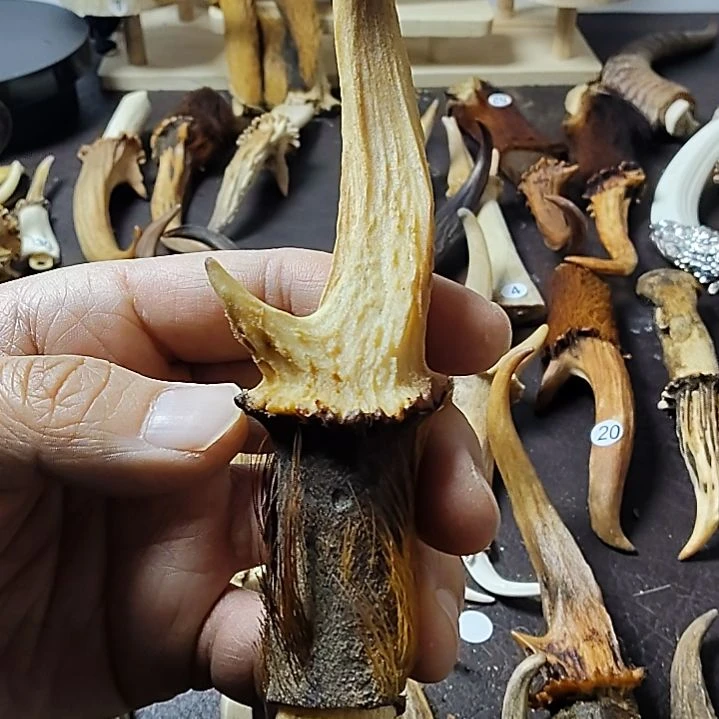 鹿缘坊直播间选货