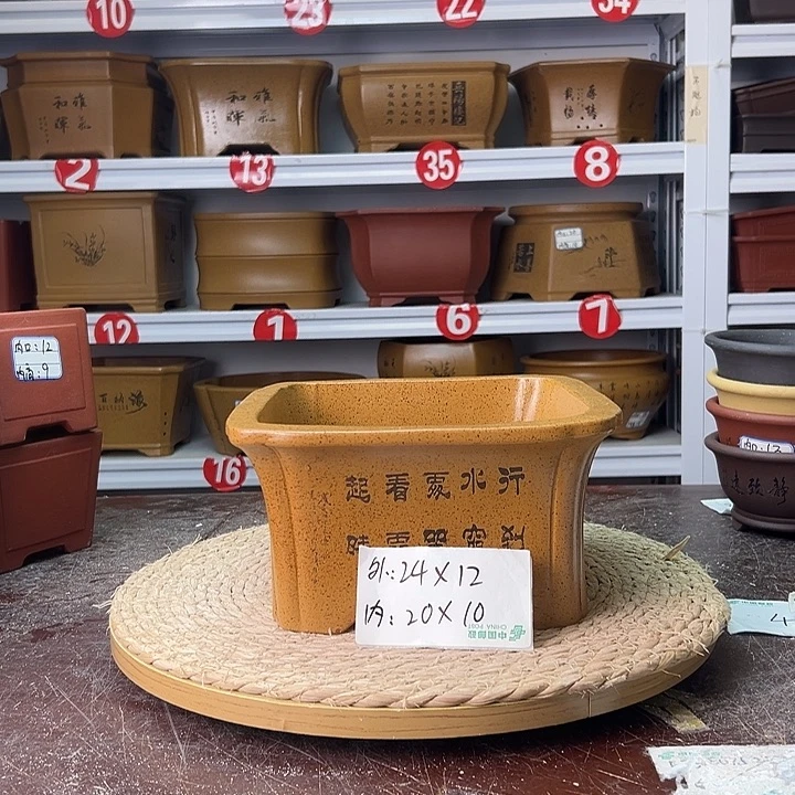 紫砂花盆蛇年大吉