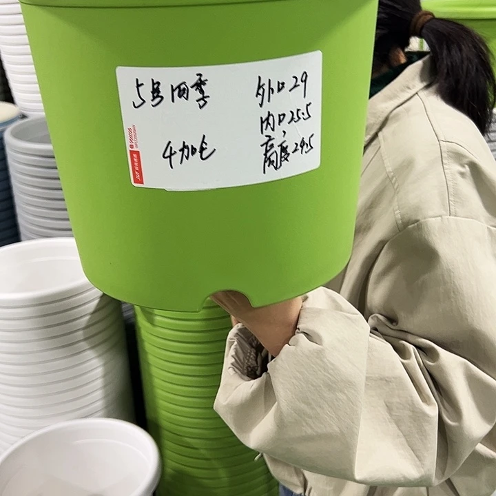 特价5号四季口29高24果绿色无托5只