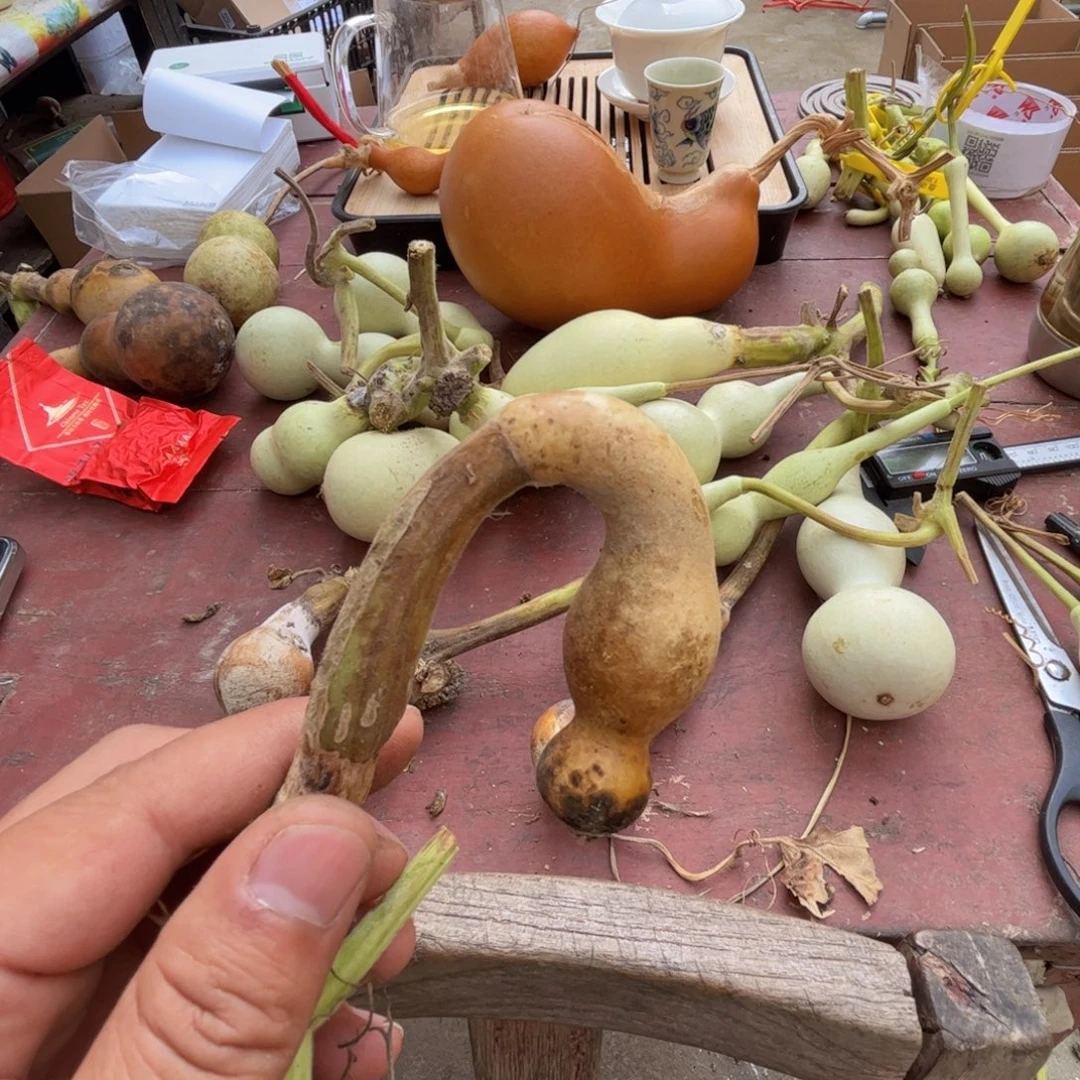 不***嗡文玩葫芦吊坠项链