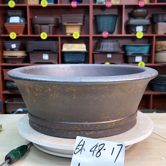 红陶醒*鼠紫砂花盆里放的东西